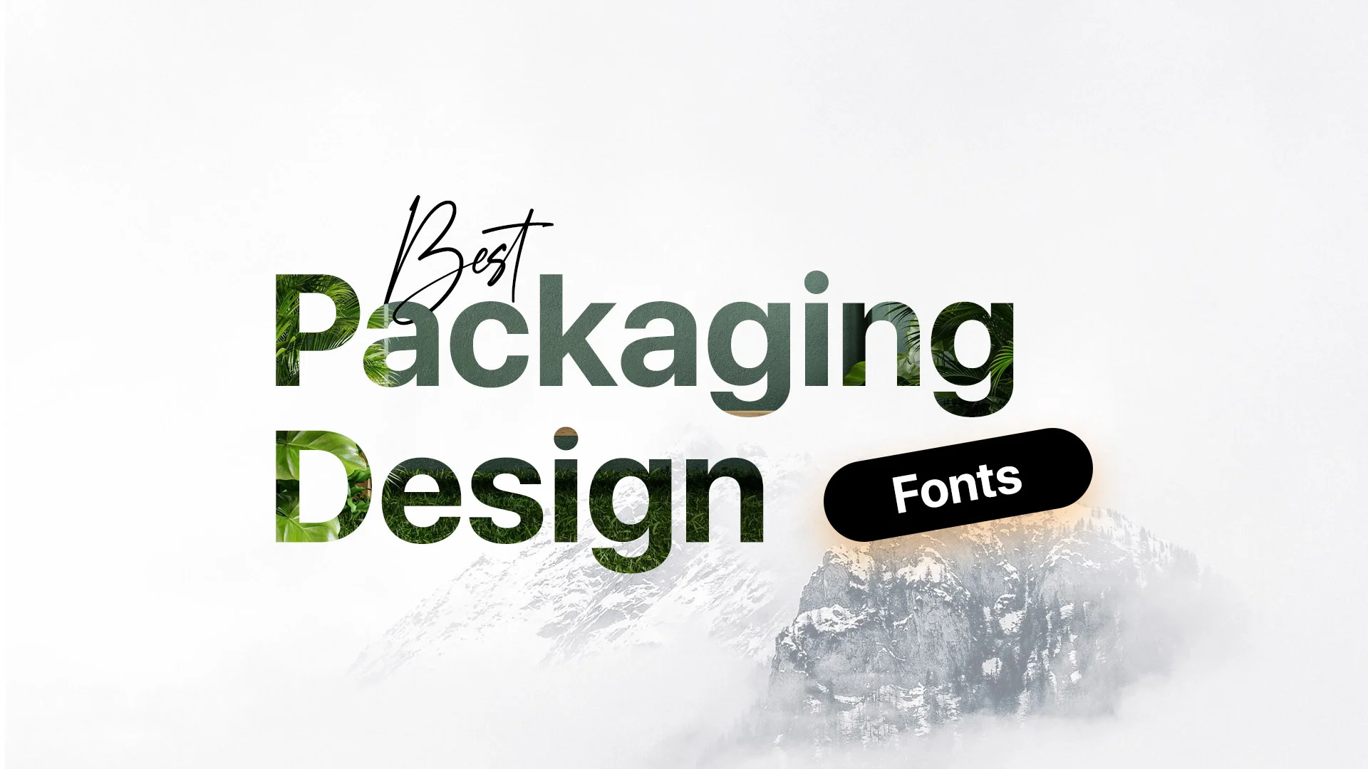 best fonts for packaging design