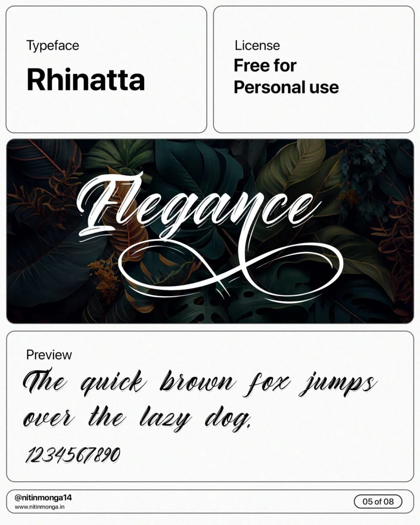 best lettering fonts rhinatta font