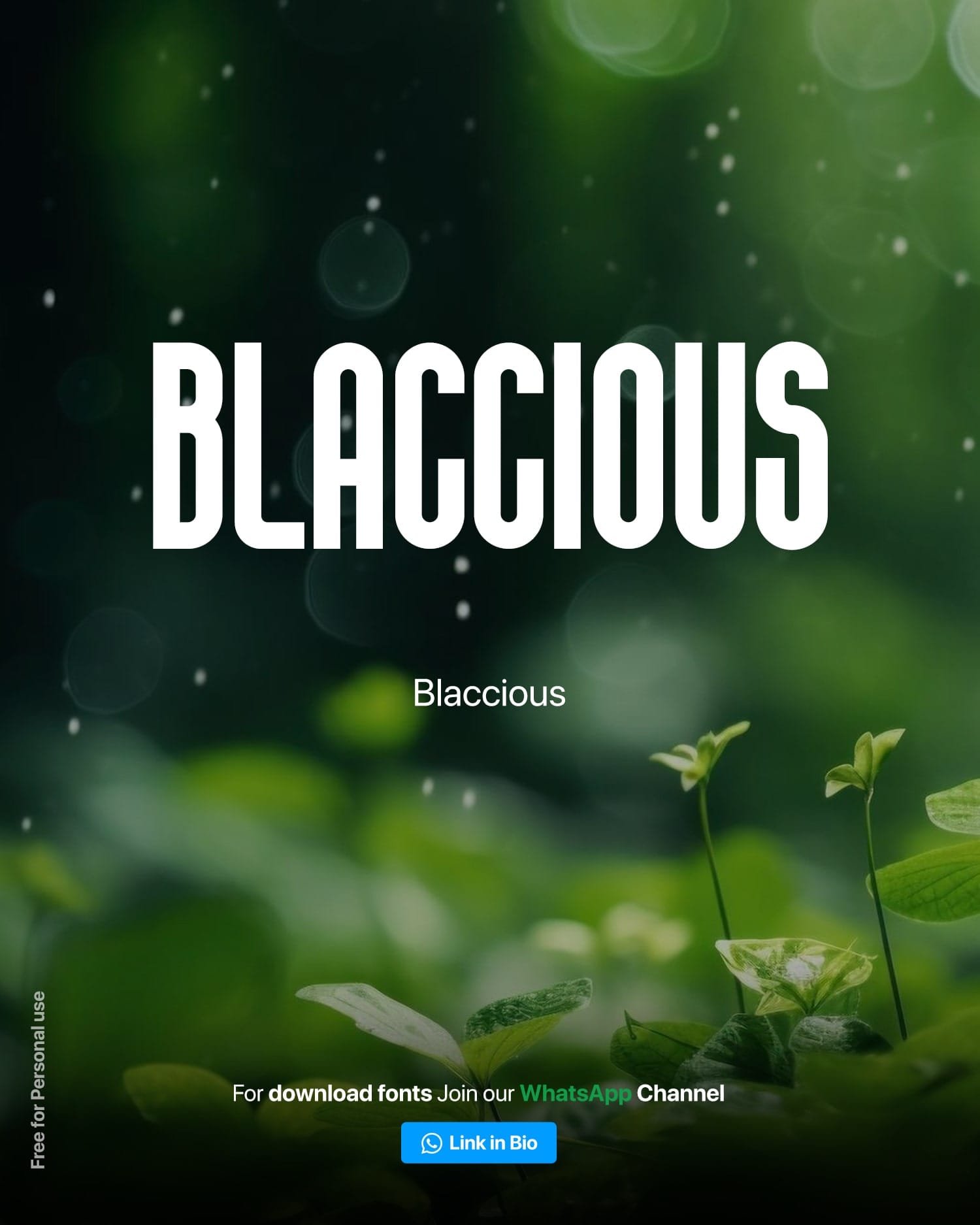 6 Best Condensed Fonts For Thumbails Like Bebas