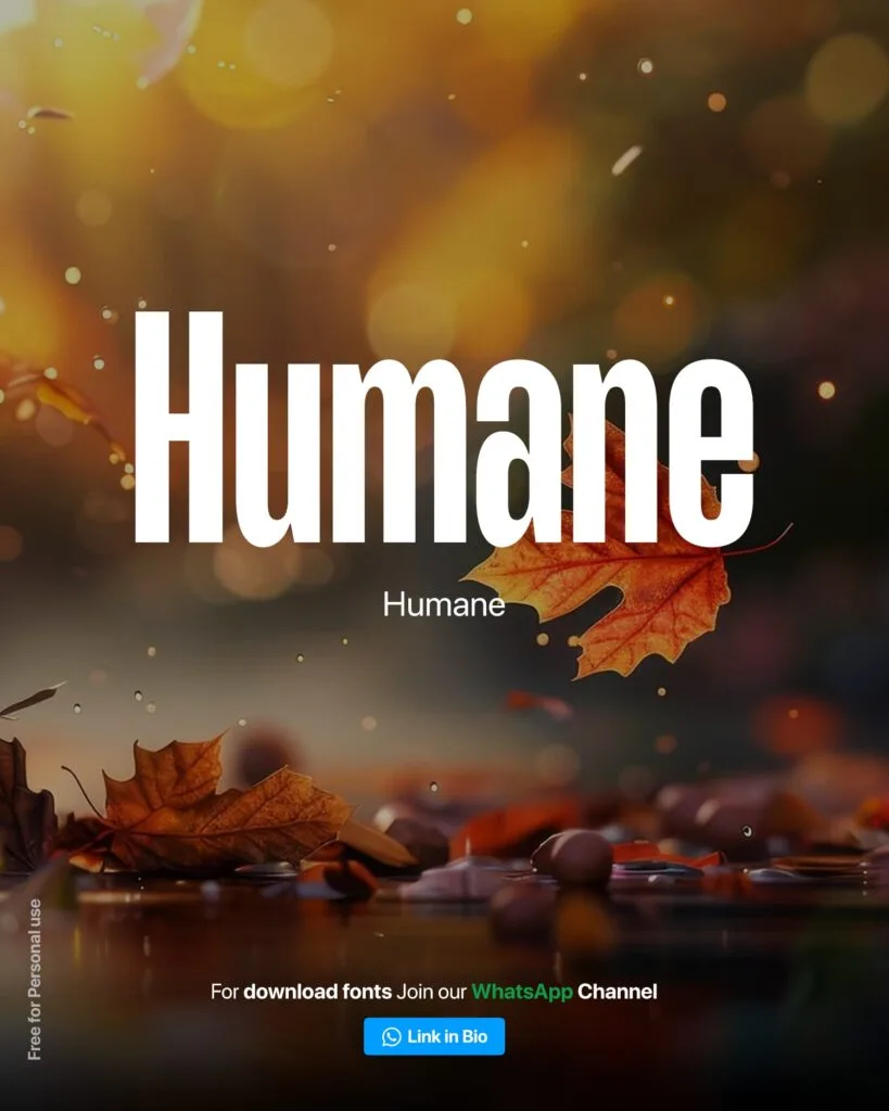 condensed fonts condensed fonts