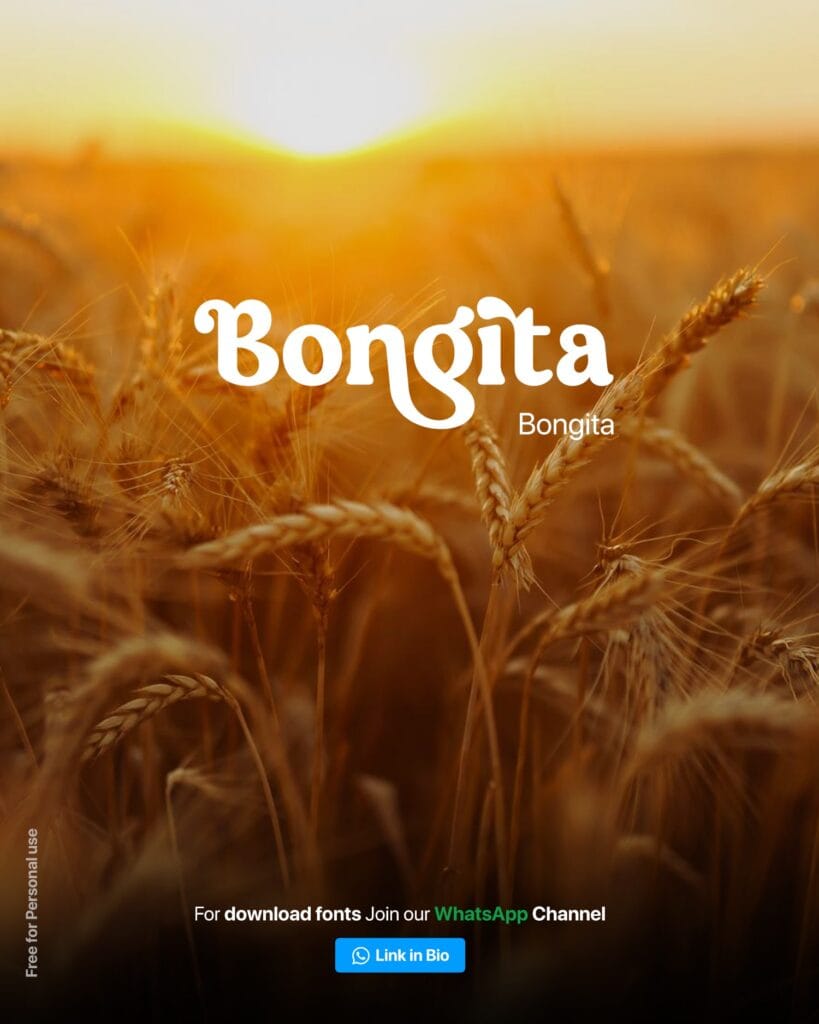 branding fonts6 min