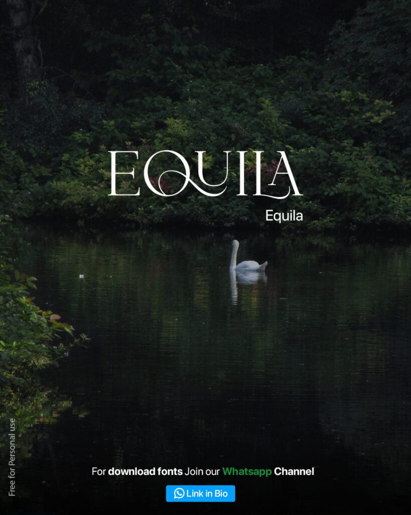 equila ligature font