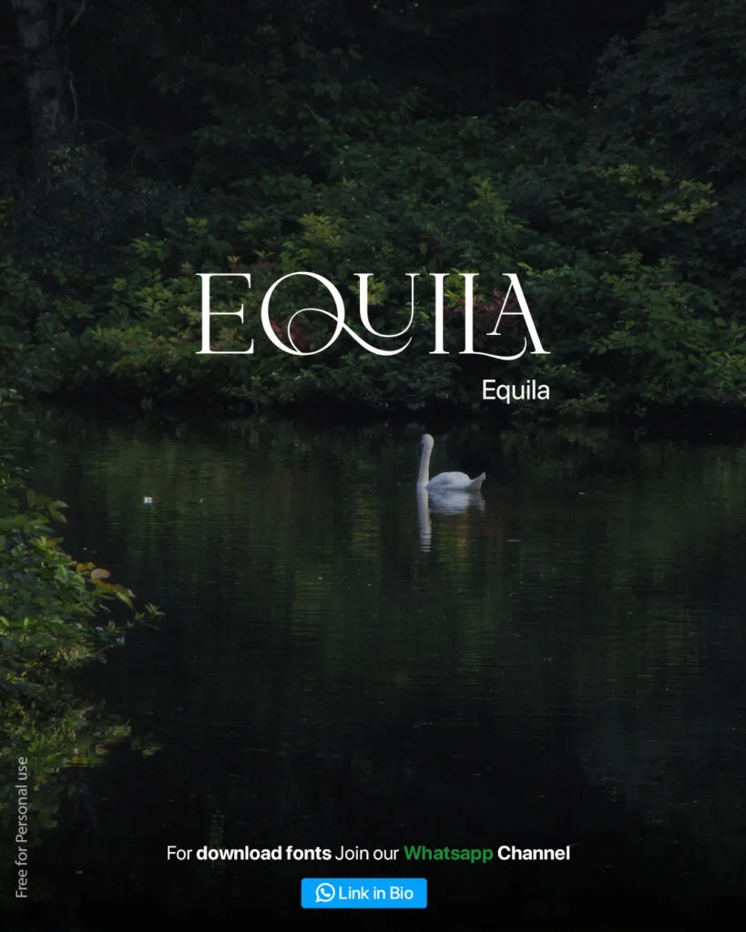 ligature fonts equila ligature font