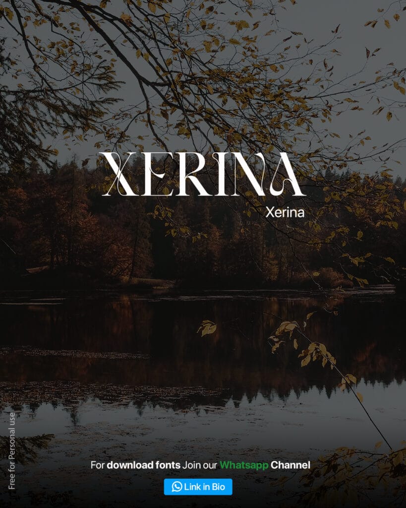 Xerina ligature font