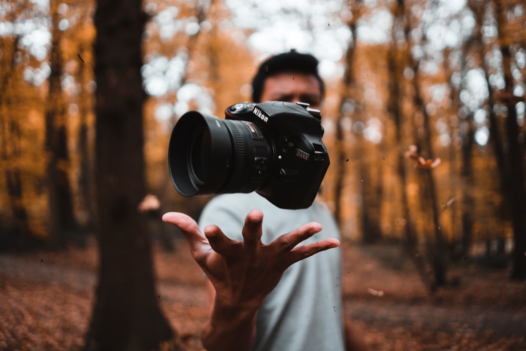 AVIF vs WebP for WordPress image format comparison concept photo